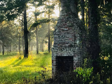 Chimney in forest